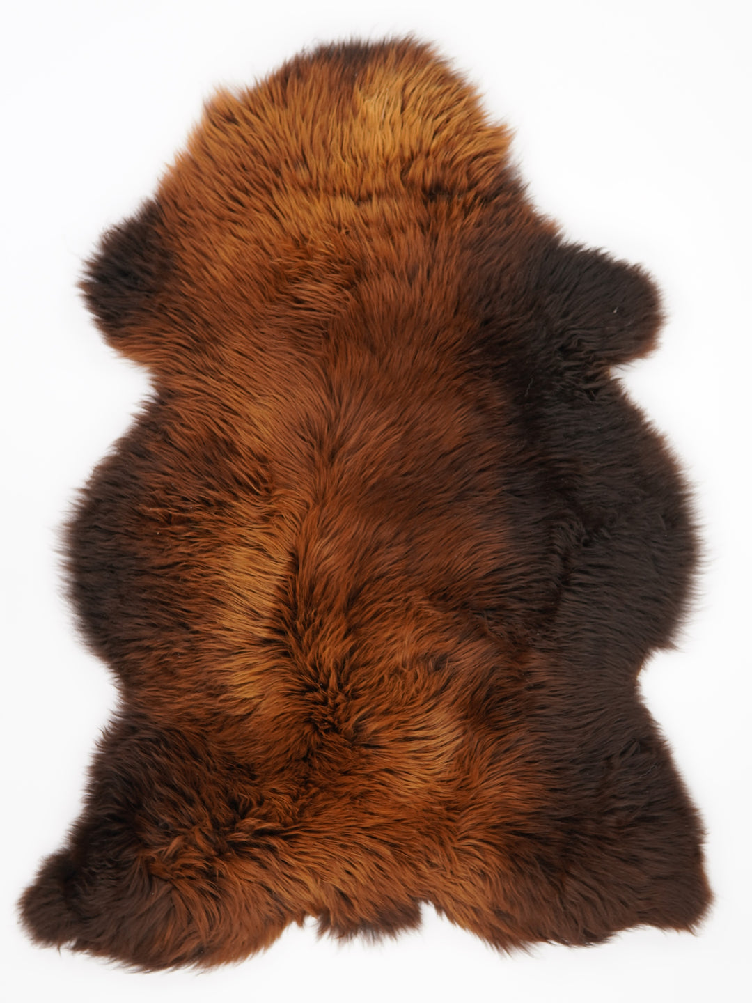 Rudas avikailis "Rusty" XL