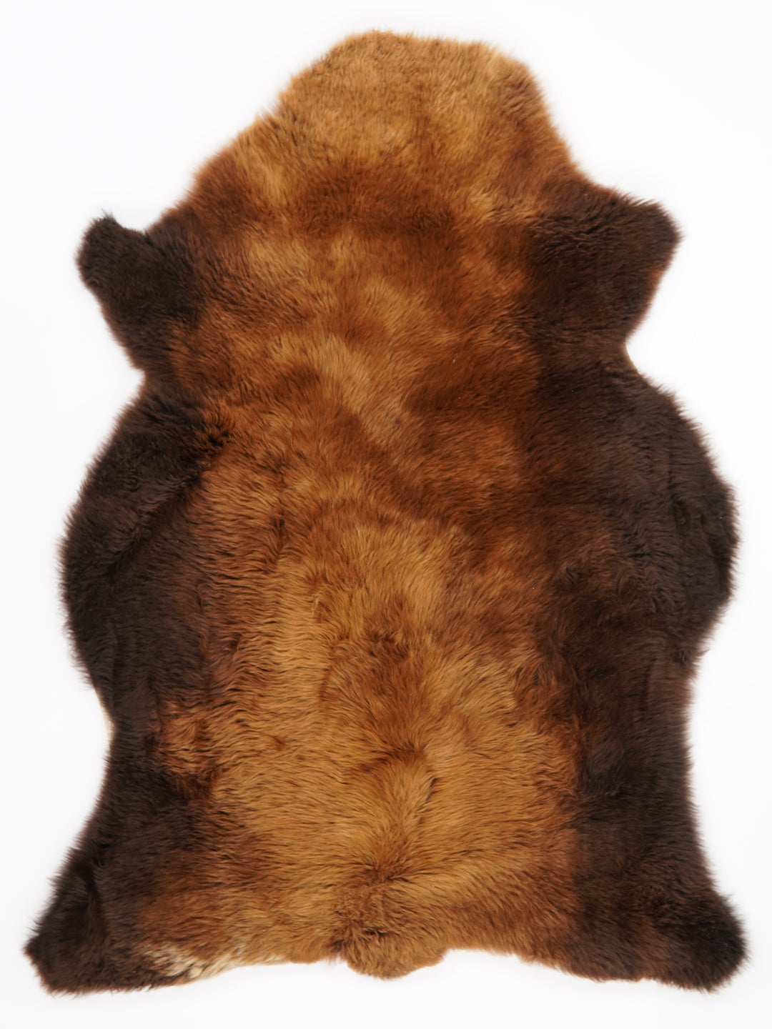 Rudas avikailis "Rusty" XL