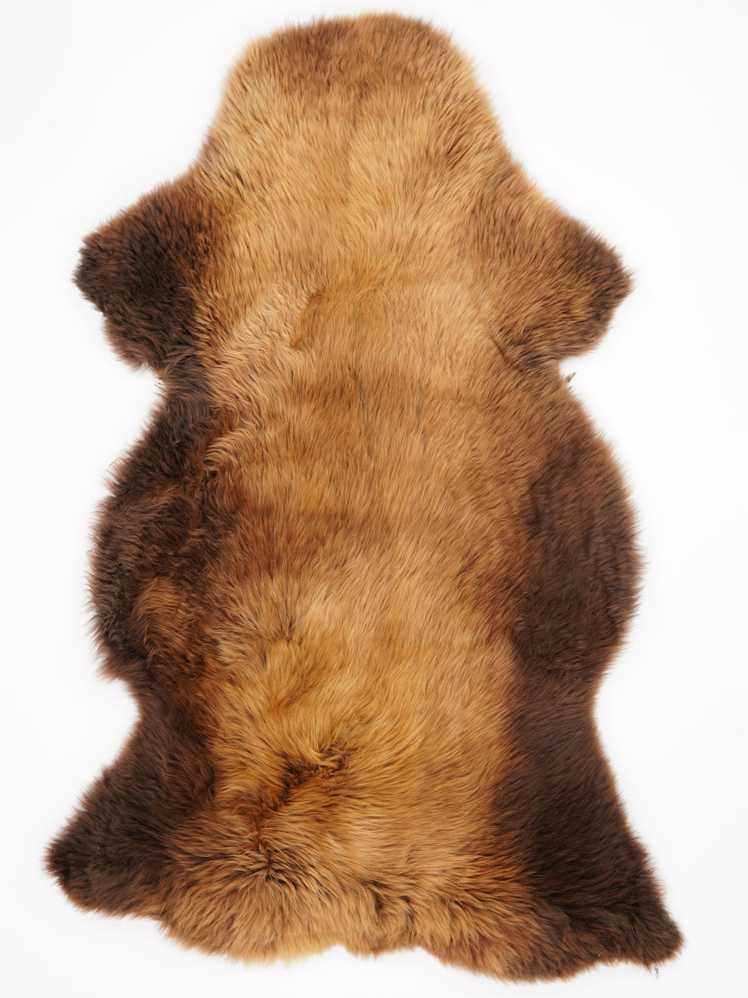 Rudas avikailis "Rusty" XXL