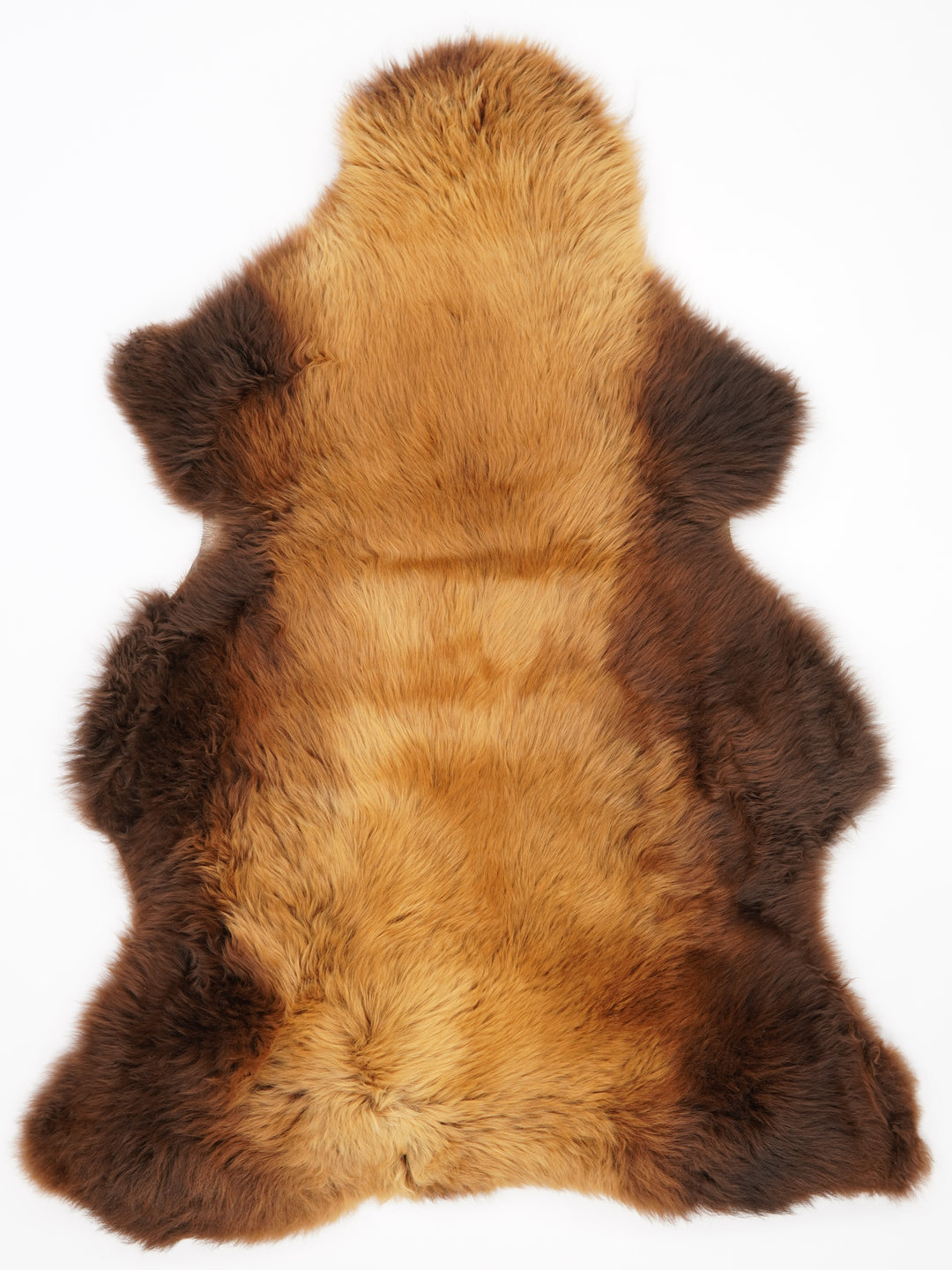 Rudas avikailis "Rusty" XXL