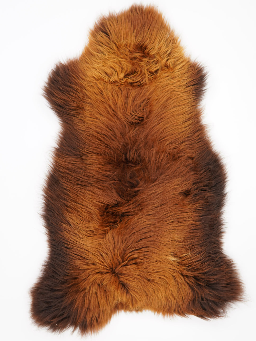 Rudas avikailis "Rusty" XXXL