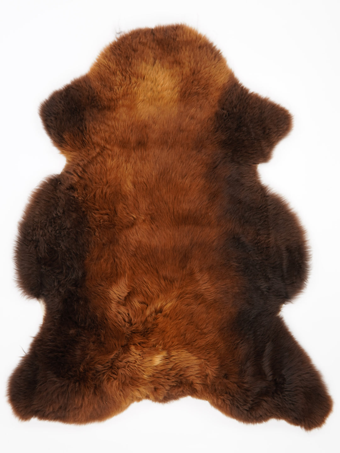 Rudas avikailis "Rusty" XXL