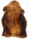 Rudas avikailis "Rusty" XXL