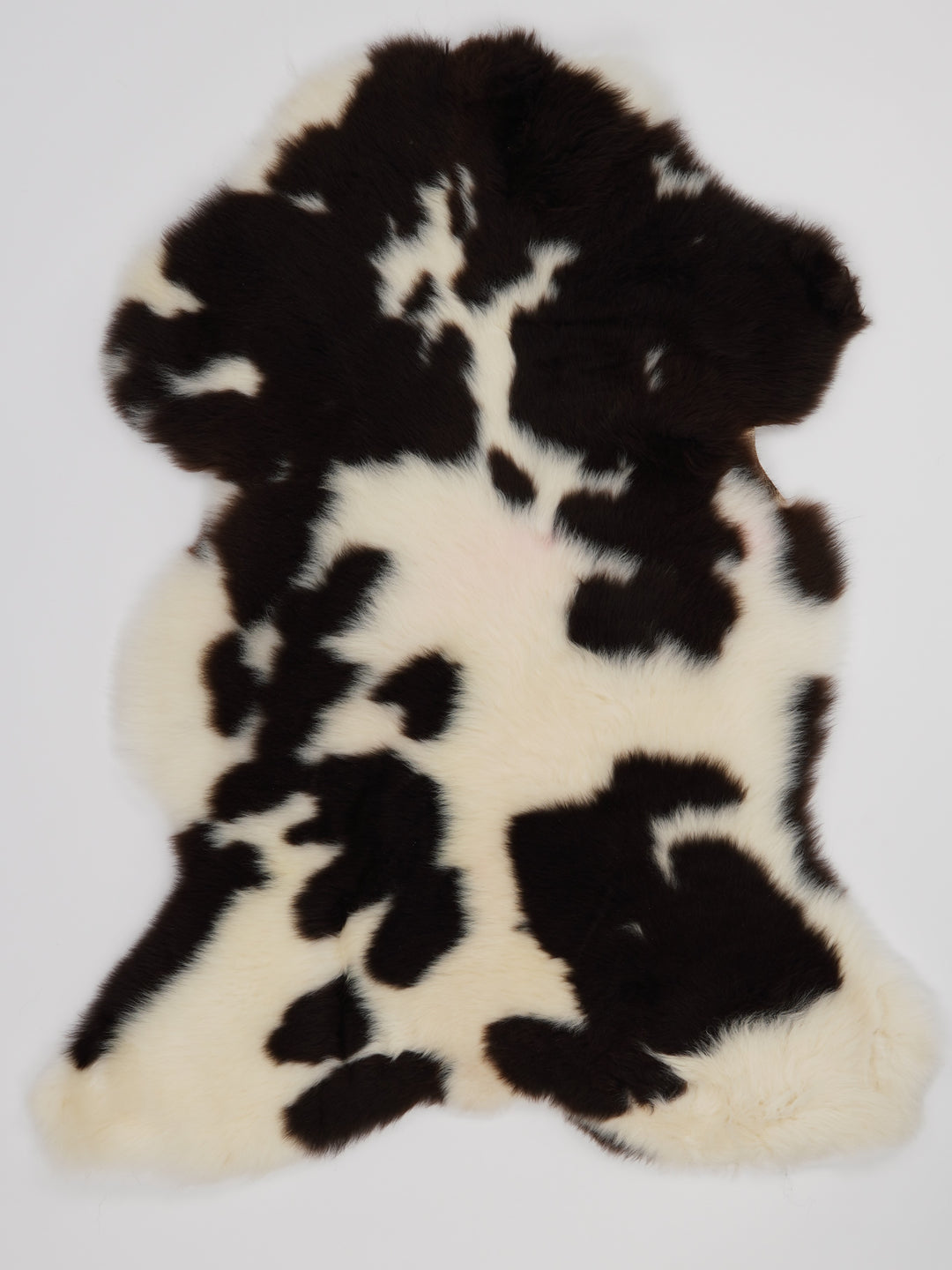 Įvairiaspalvis avikailis M