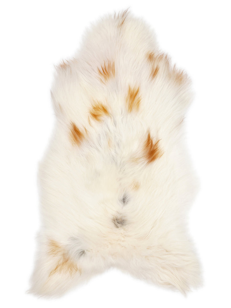 Islandiškas avikailis XL
