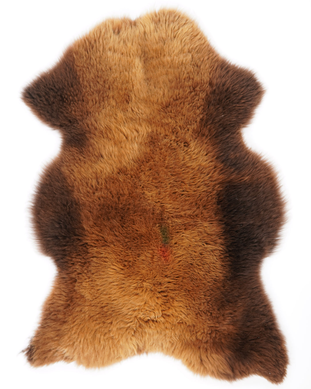 B+ klasės avikailis "Rusty" XXL
