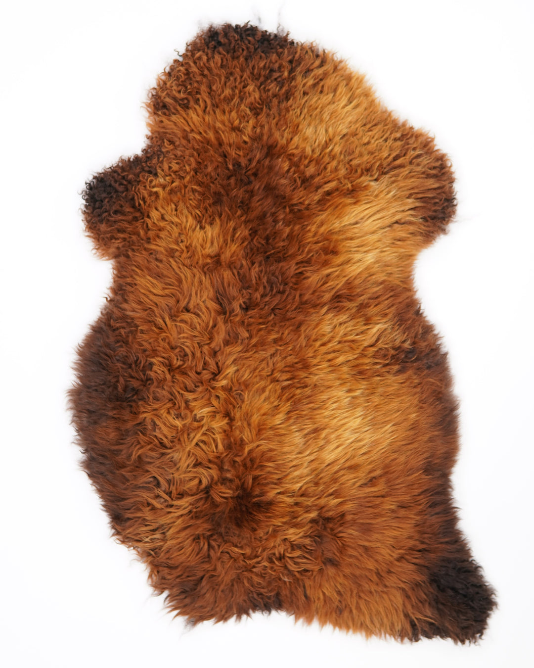 B klasės avikailis "Rusty" L