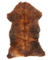 B klasės avikailis "Rusty" XL