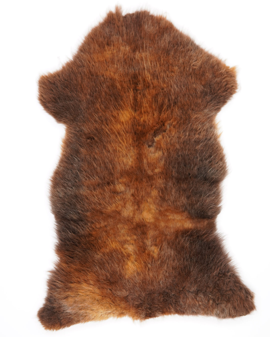 B klasės avikailis "Rusty" XL