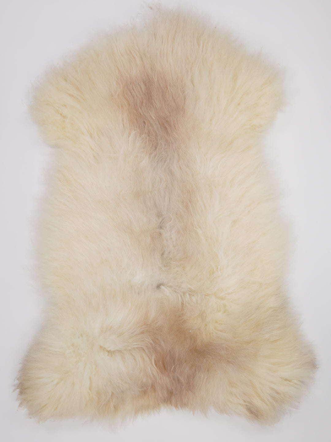 Islandiškas avikailis XXL