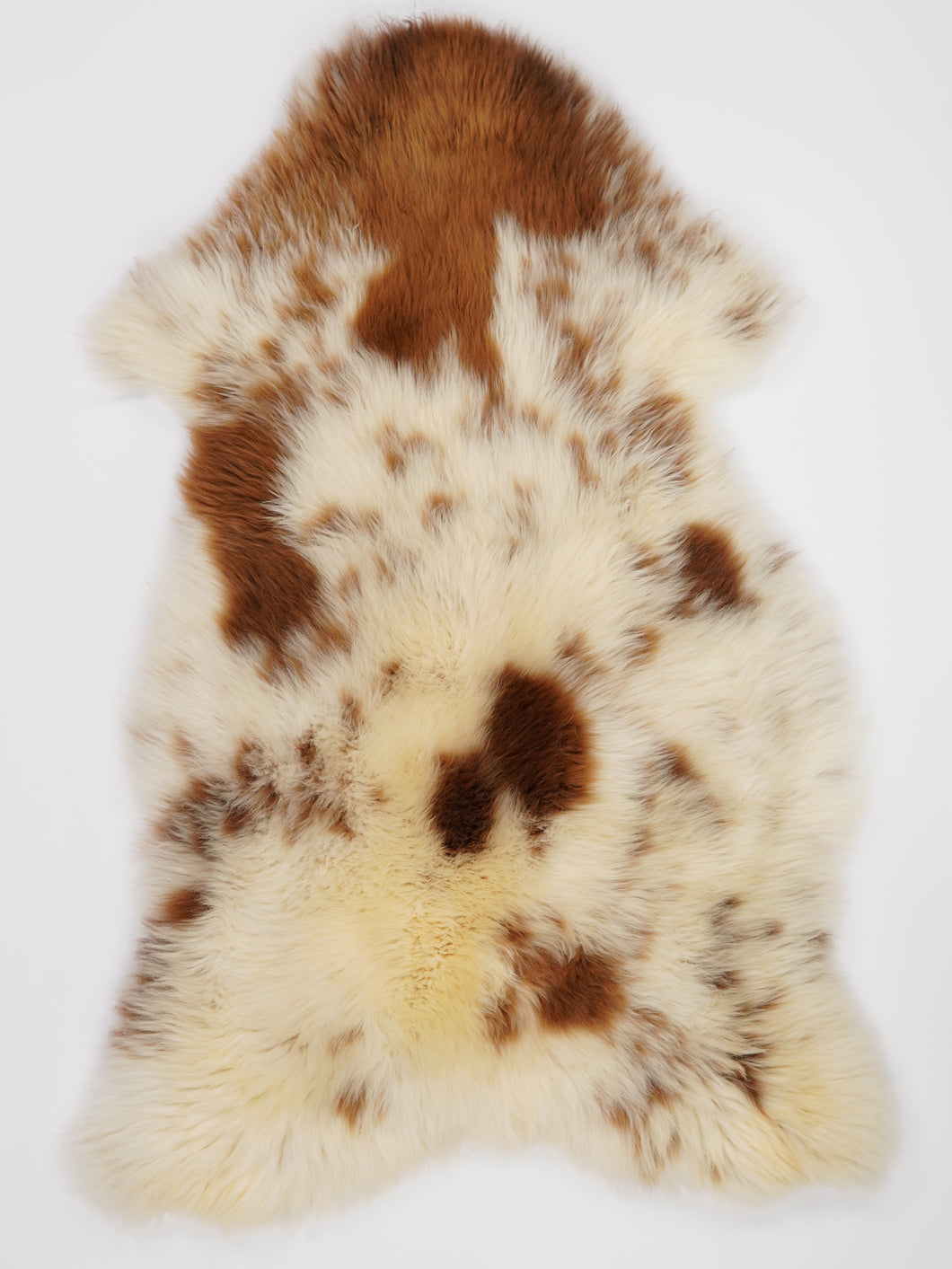 Įvairiaspalvis avikailis XXL