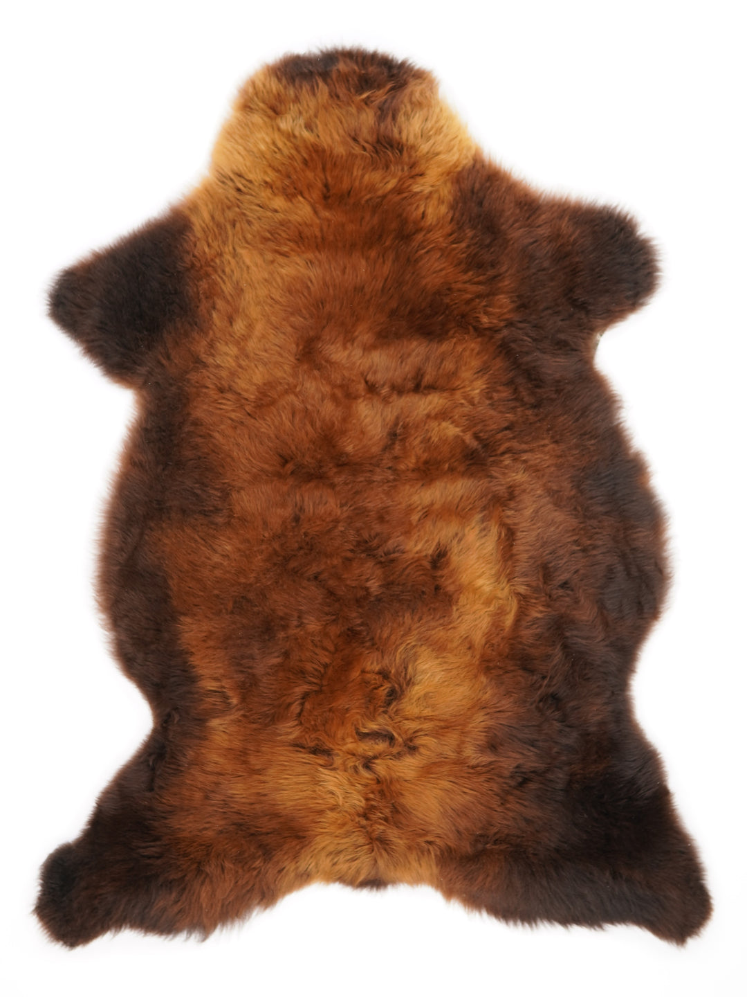 Rudas avikailis "Rusty" XL