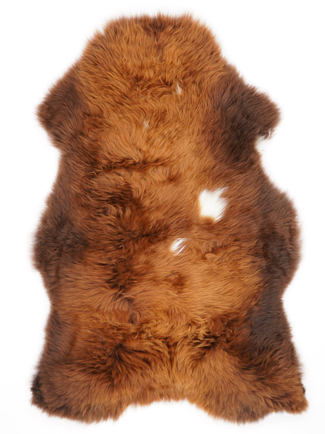 Rudas avikailis "Rusty" XL