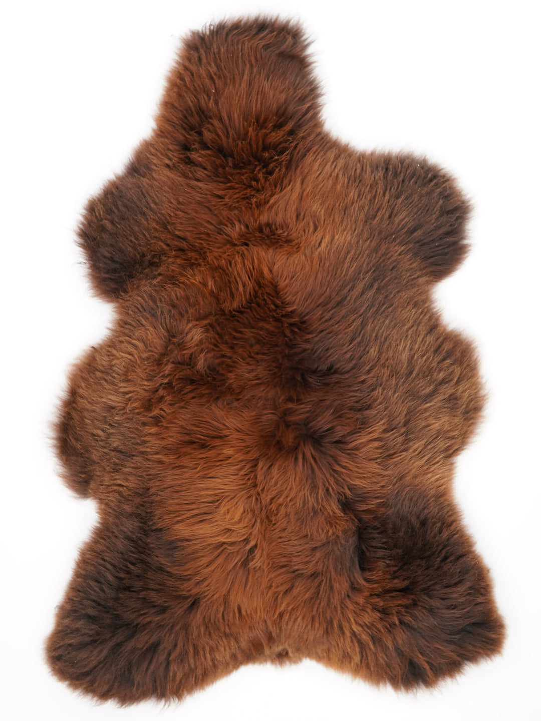Rudas avikailis "Rusty" XL