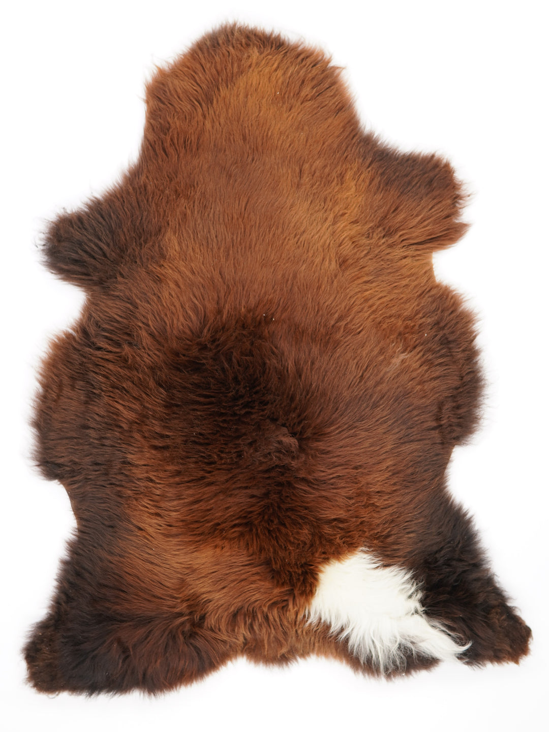 Rudas avikailis "Rusty" XL