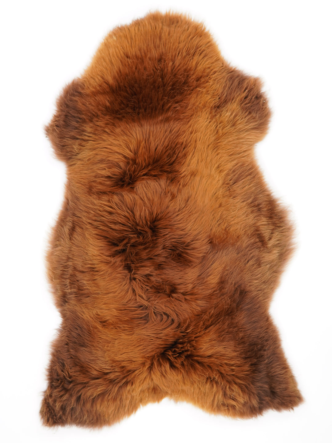 Rudas avikailis "Rusty" XL