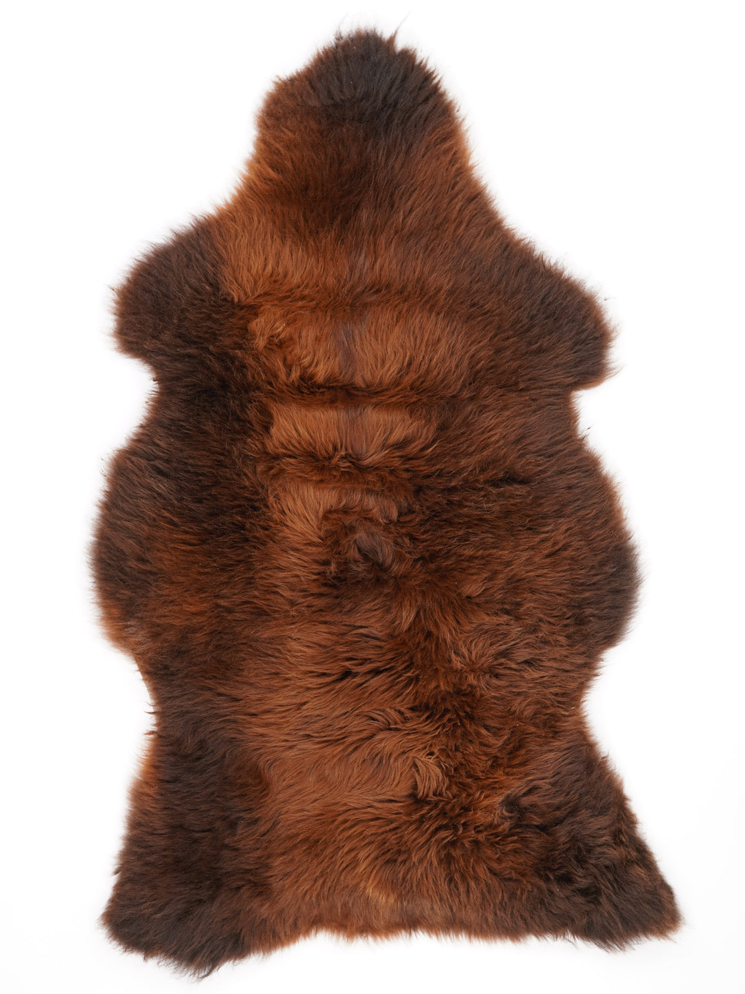 Rudas avikailis "Rusty" XL