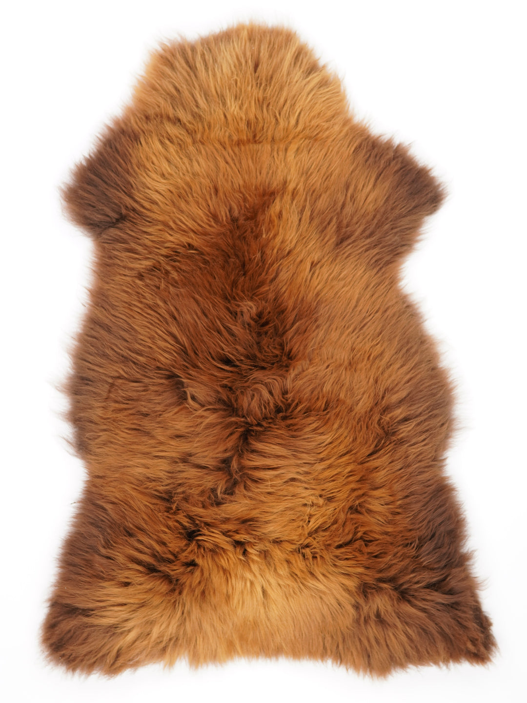Rudas avikailis "Rusty" XL