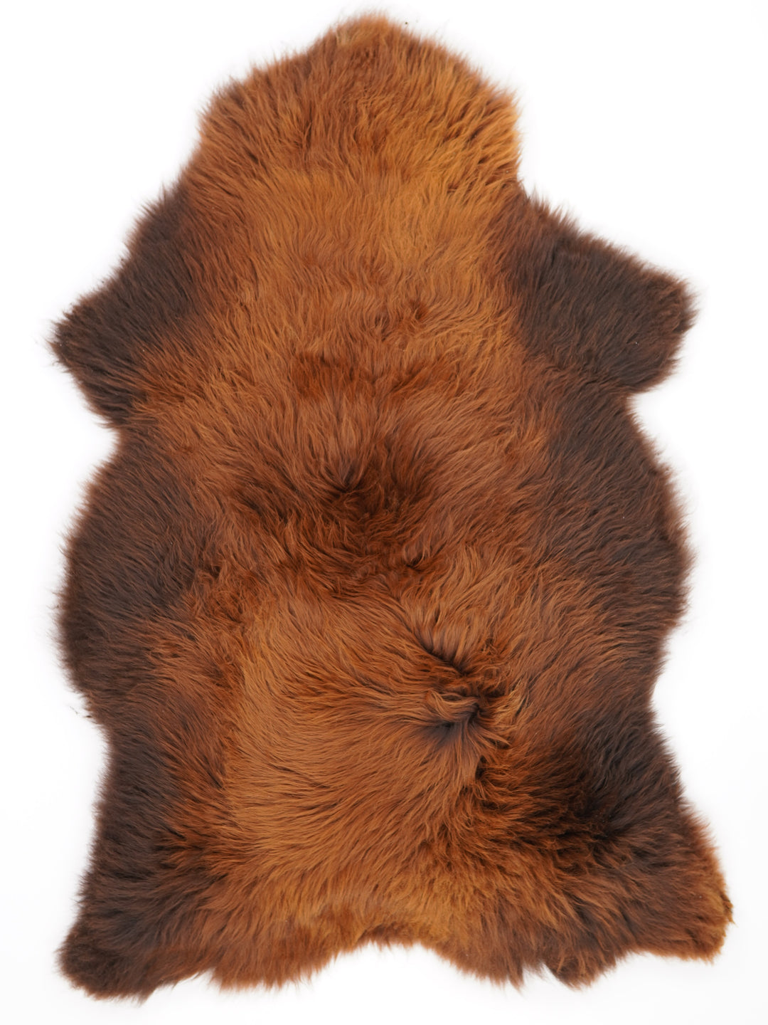 Rudas avikailis "Rusty" XXL
