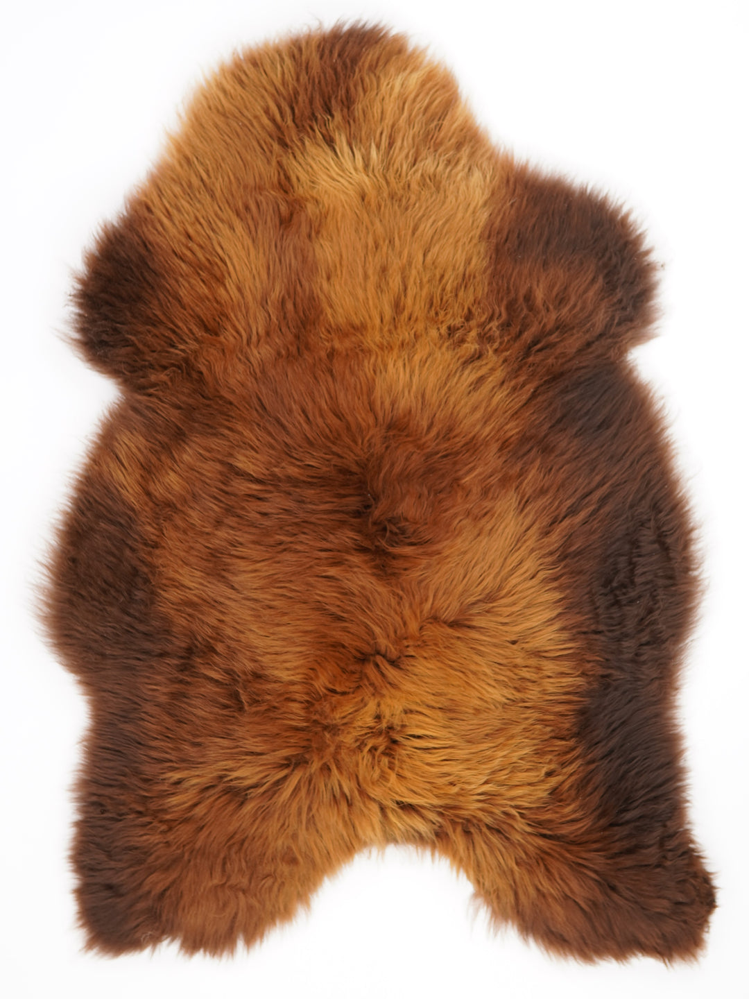 Rudas avikailis "Rusty" XL
