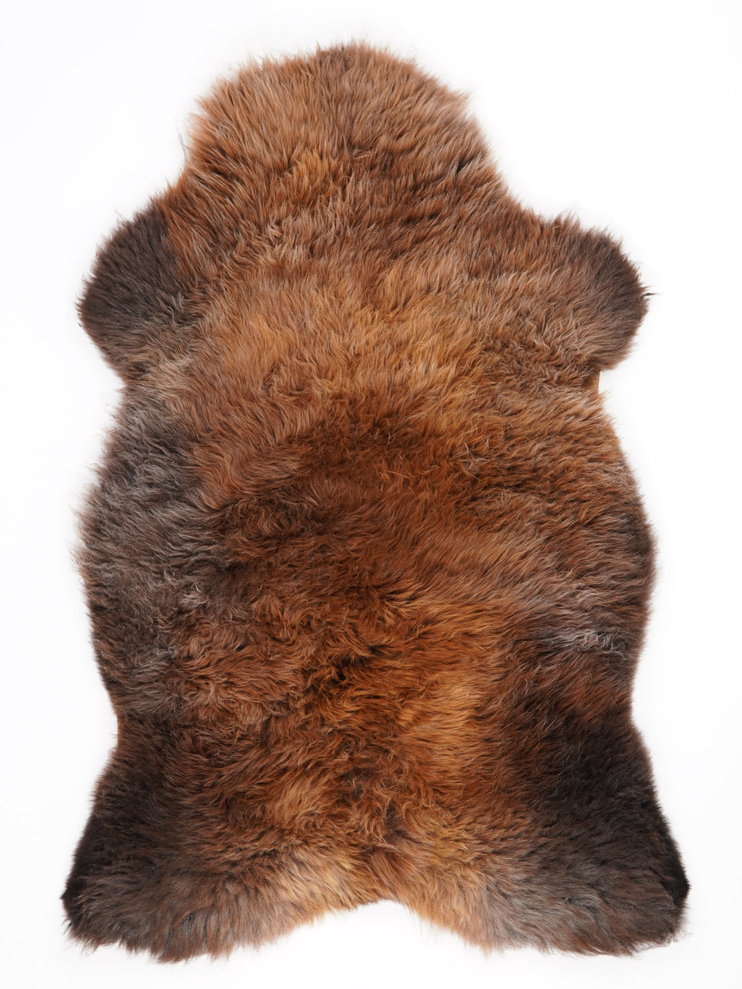 Rudas avikailis "Rusty" XL