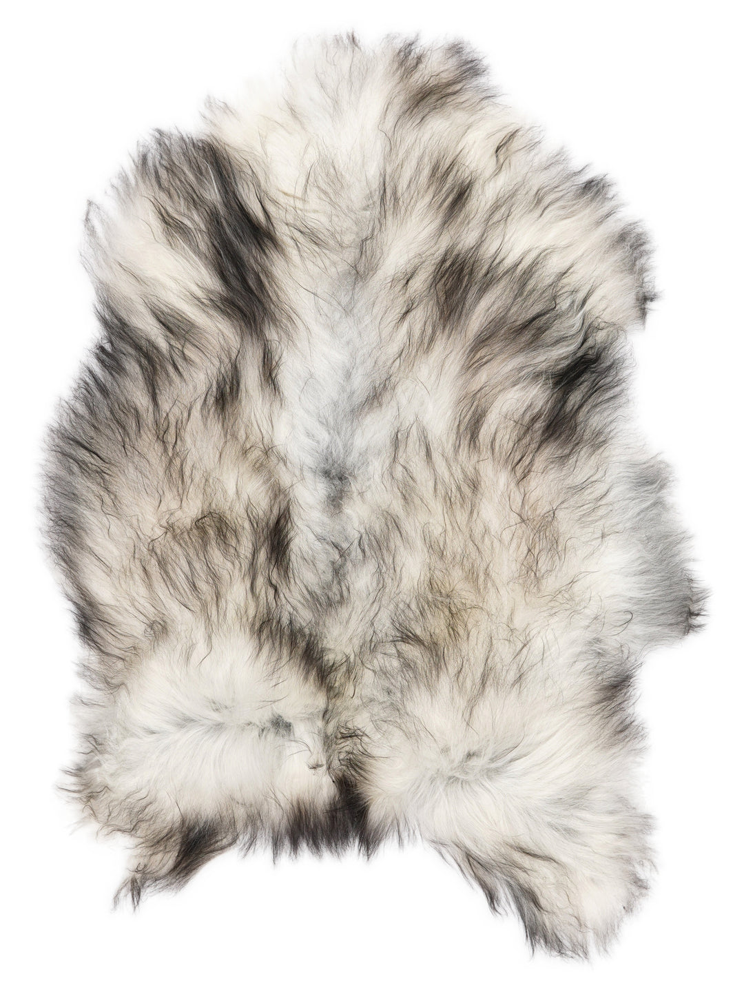 Pilkas islandiškas avikailis L