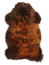 "Rusty" Įvairiaspalvis avikailis M