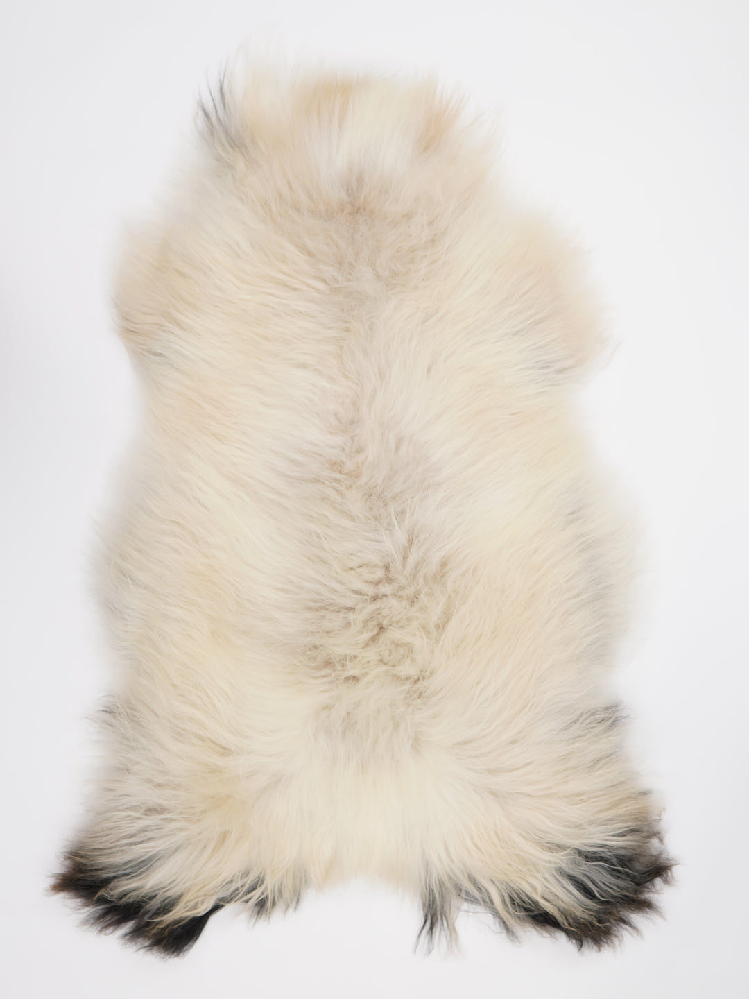 Islandiškas avikailis XXL