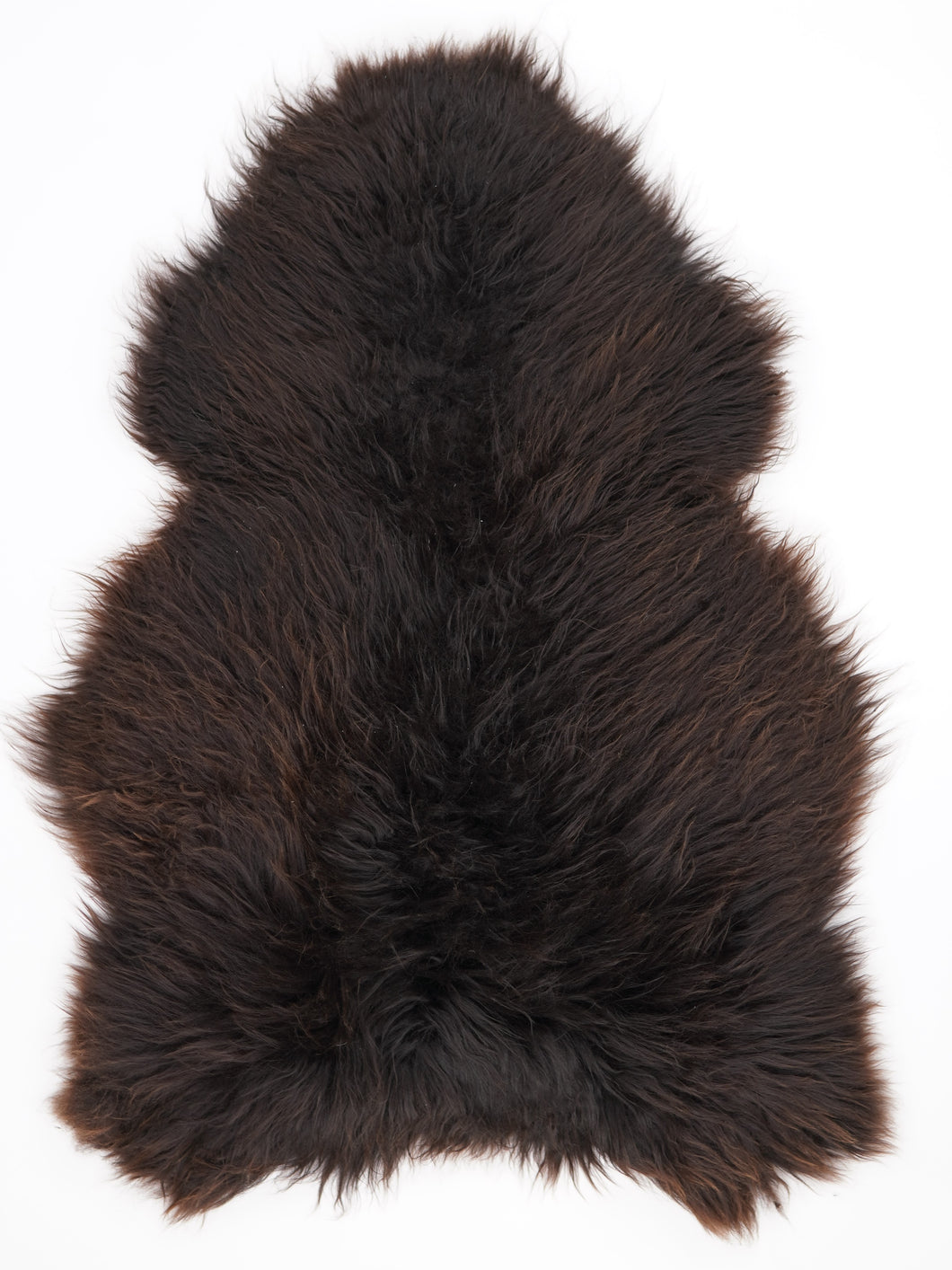 Įvairiaspalvis avikailis XL