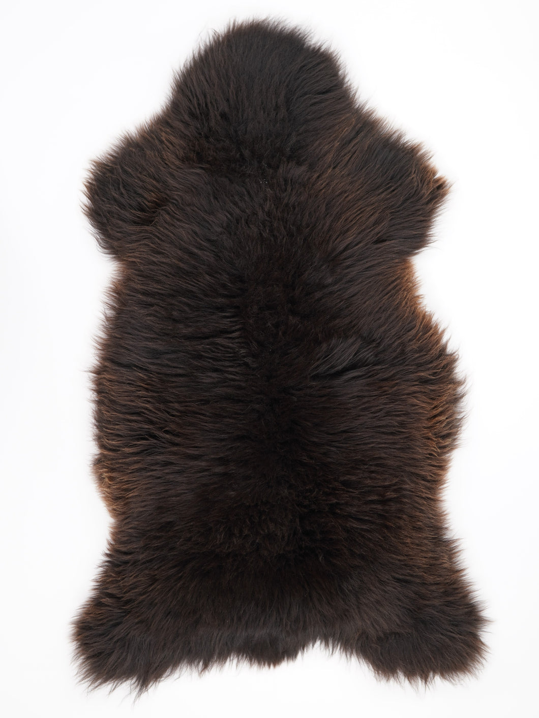 Įvairiaspalvis avikailis XL