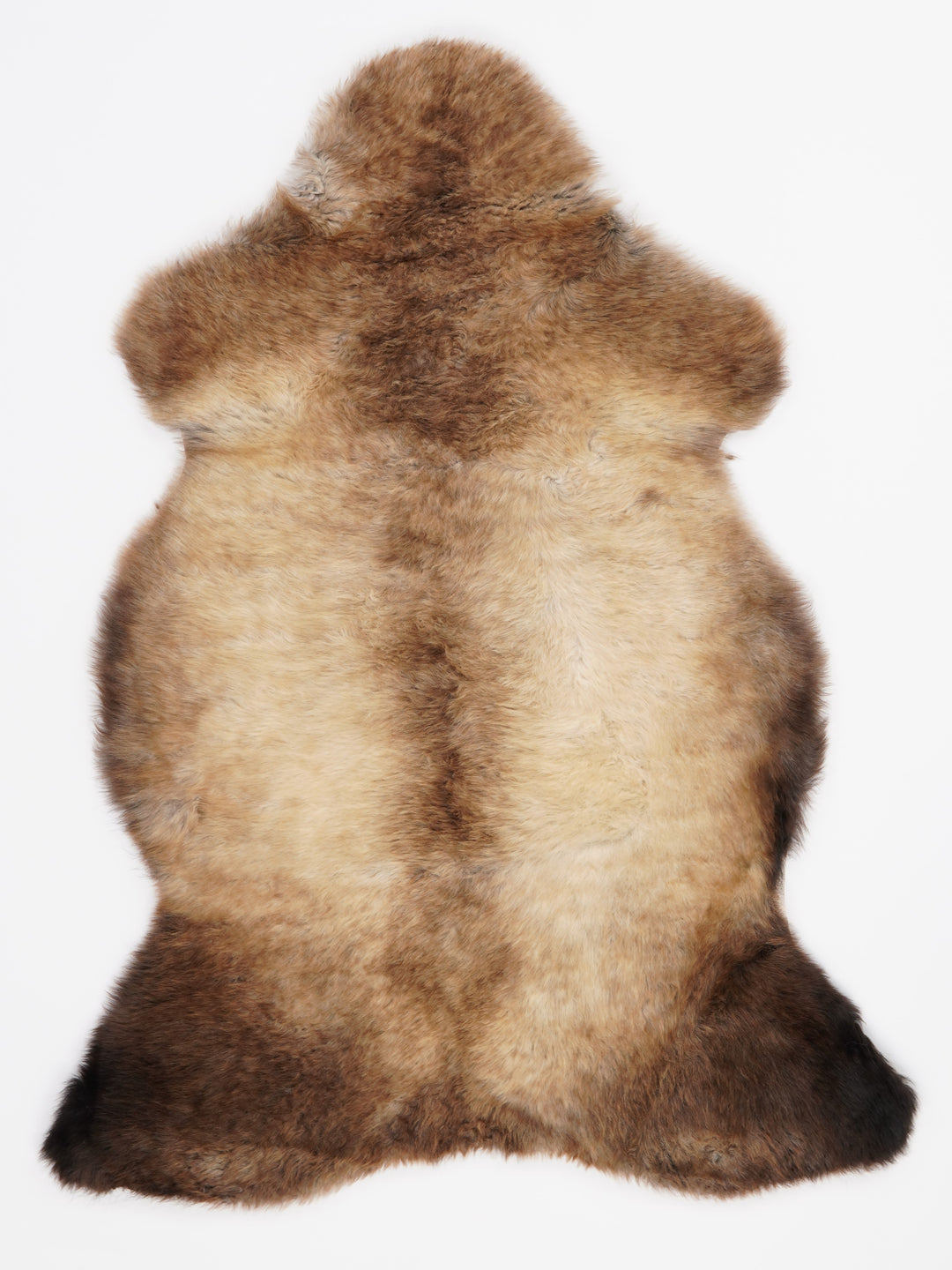 Įvairiaspalvis avikailis M