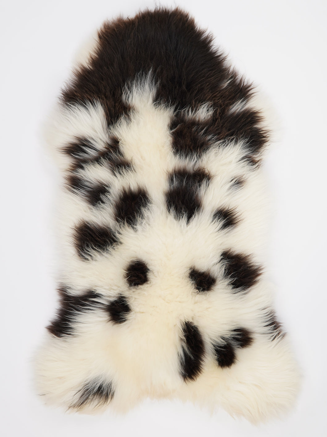 Įvairiaspalvis avikailis XXL