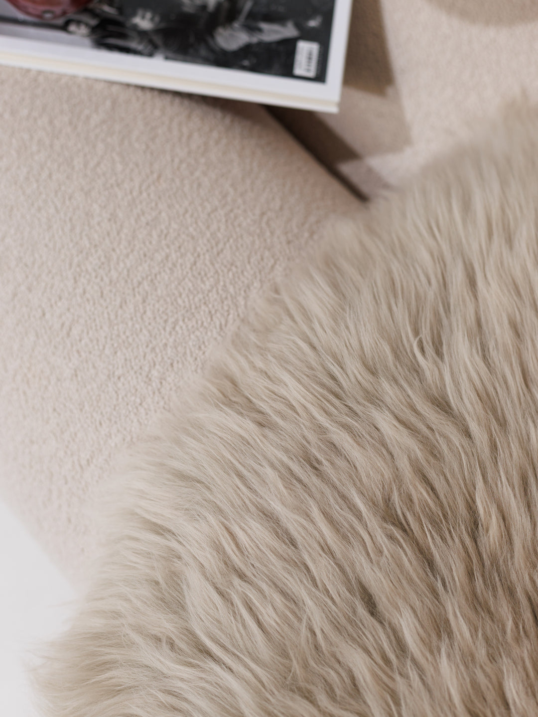 Taupe avikailis