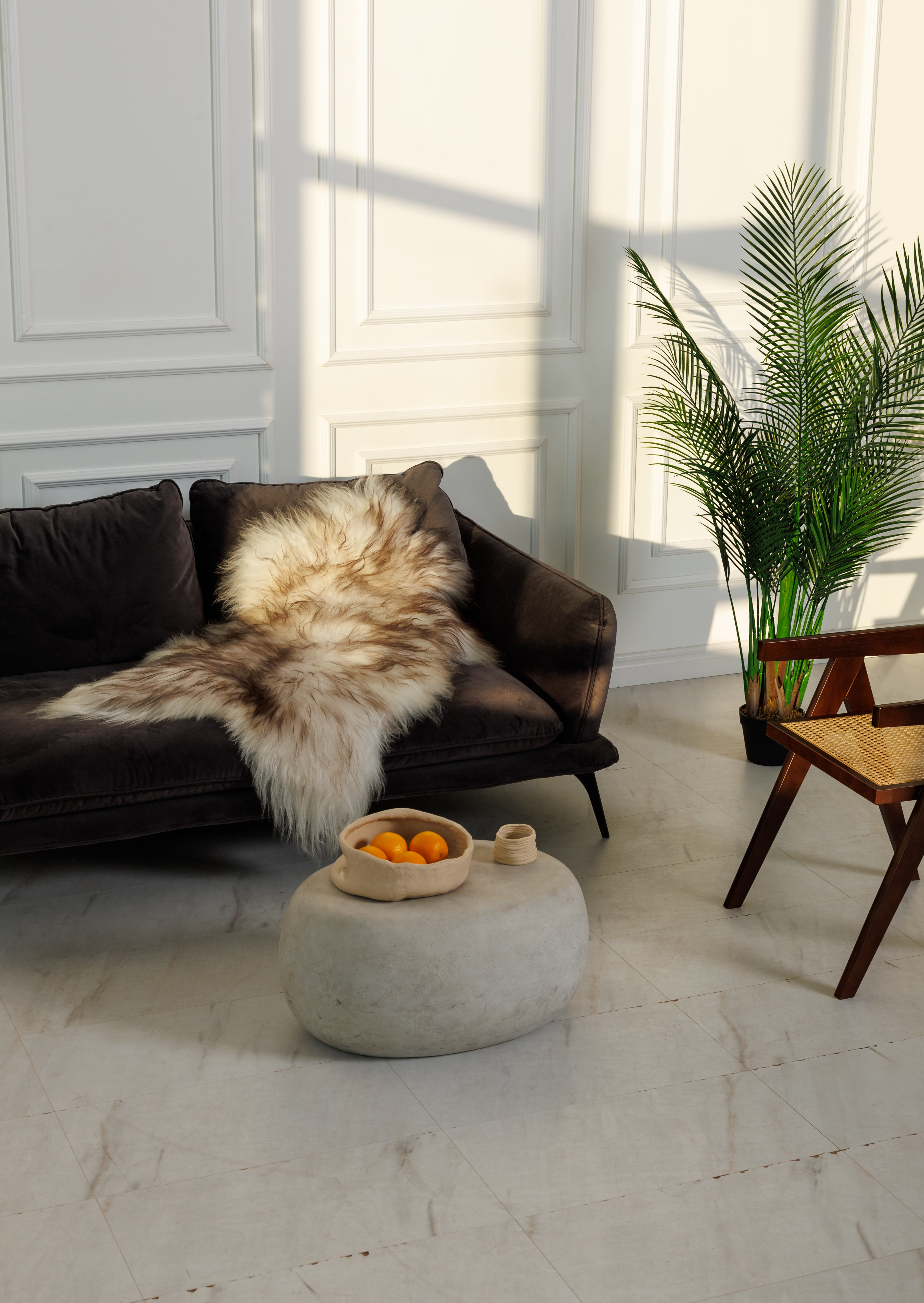 Muflono islandiškas avikailis iš toli