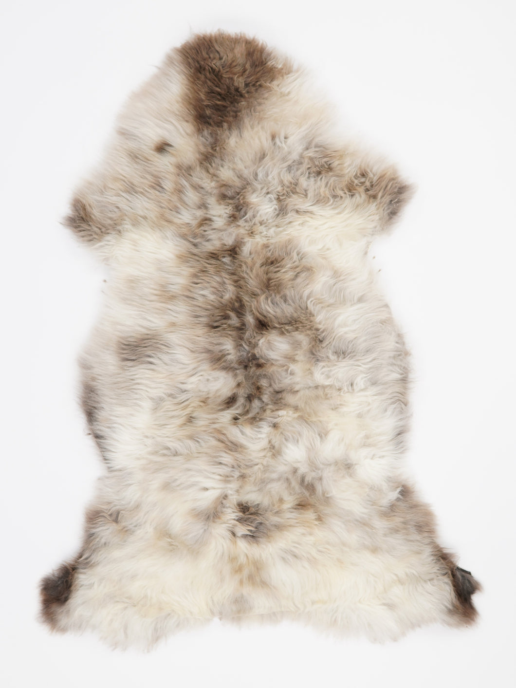 Įvairiaspalvis avikailis XL