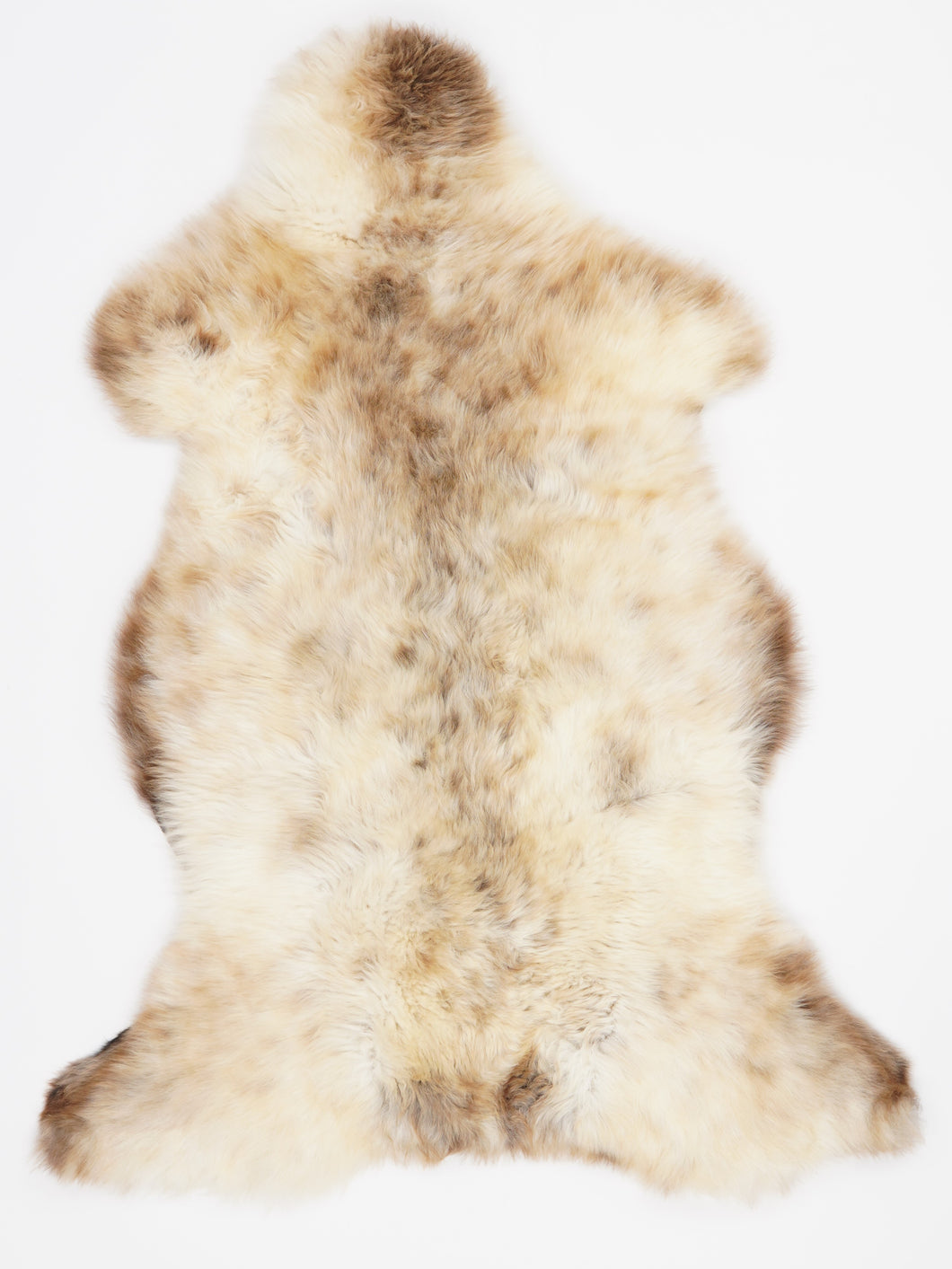 Įvairiaspalvis avikailis XL