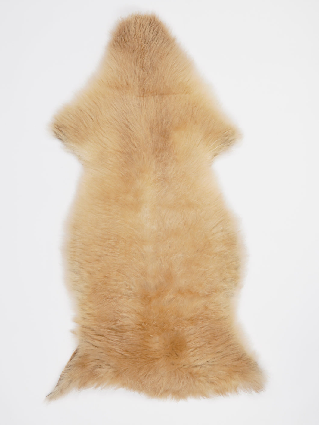 Įvairiaspalvis avikailis XL