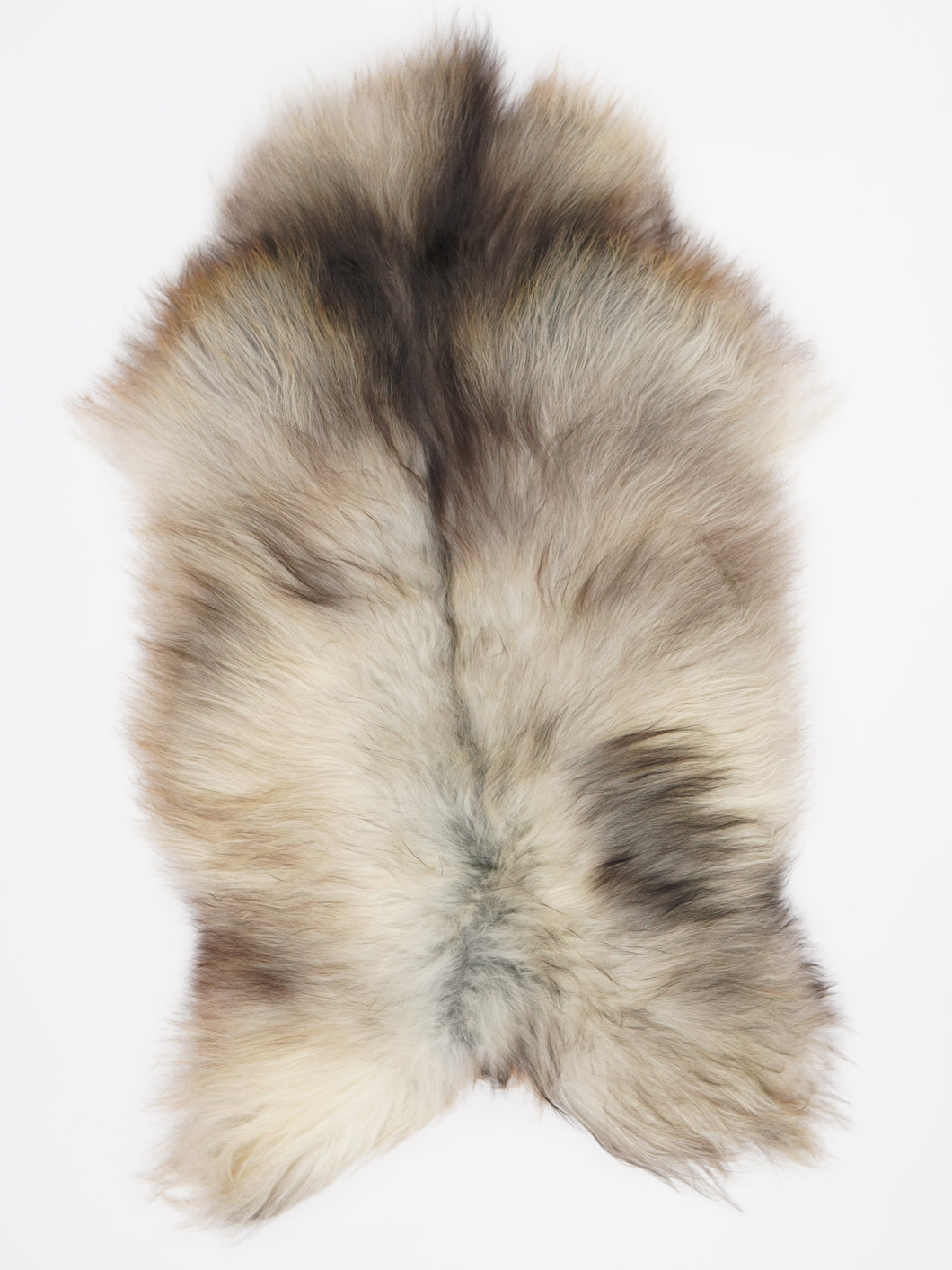 Pilkas islandiškas avikailis L