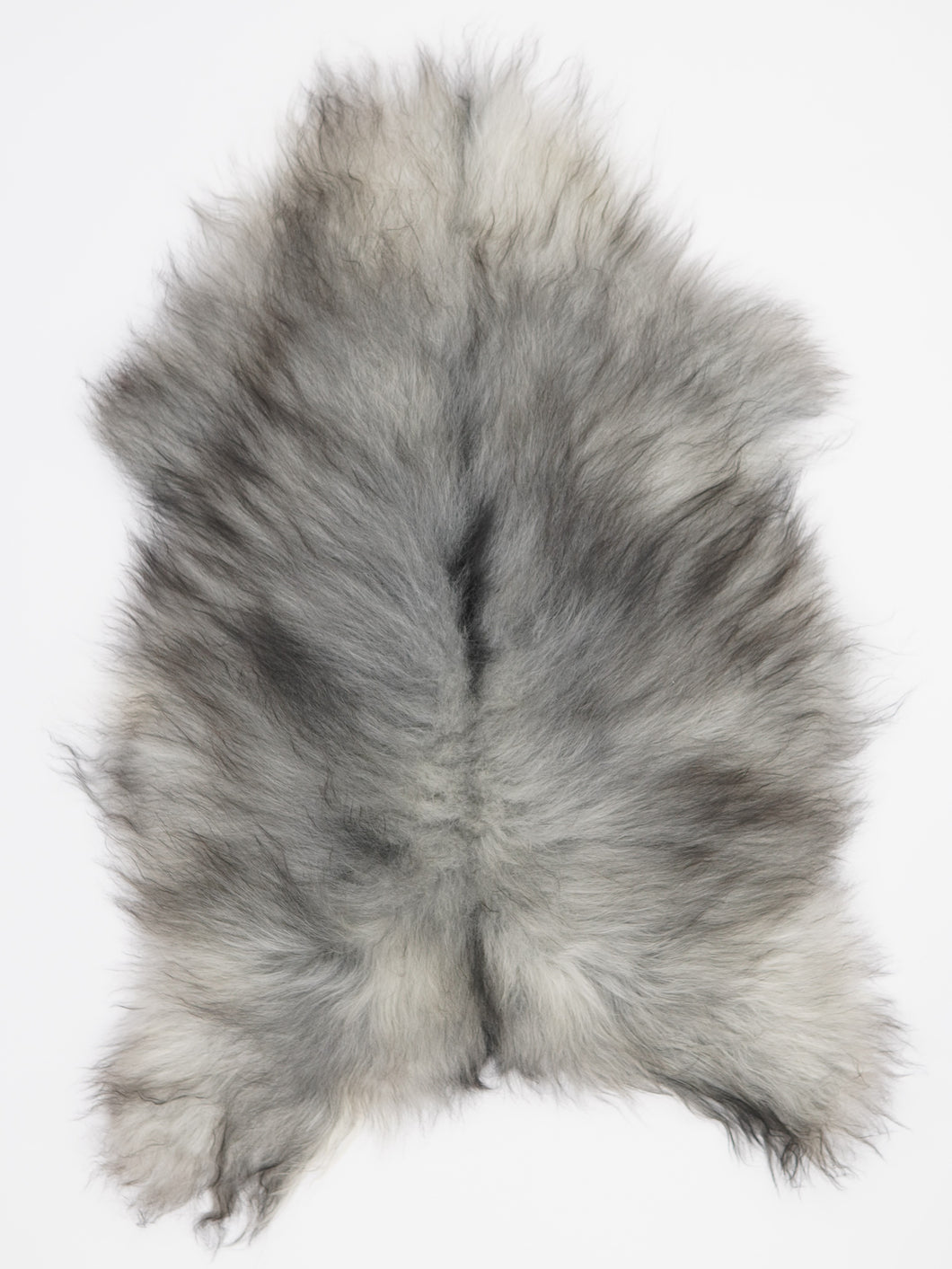 Pilkas islandiškas avikailis L