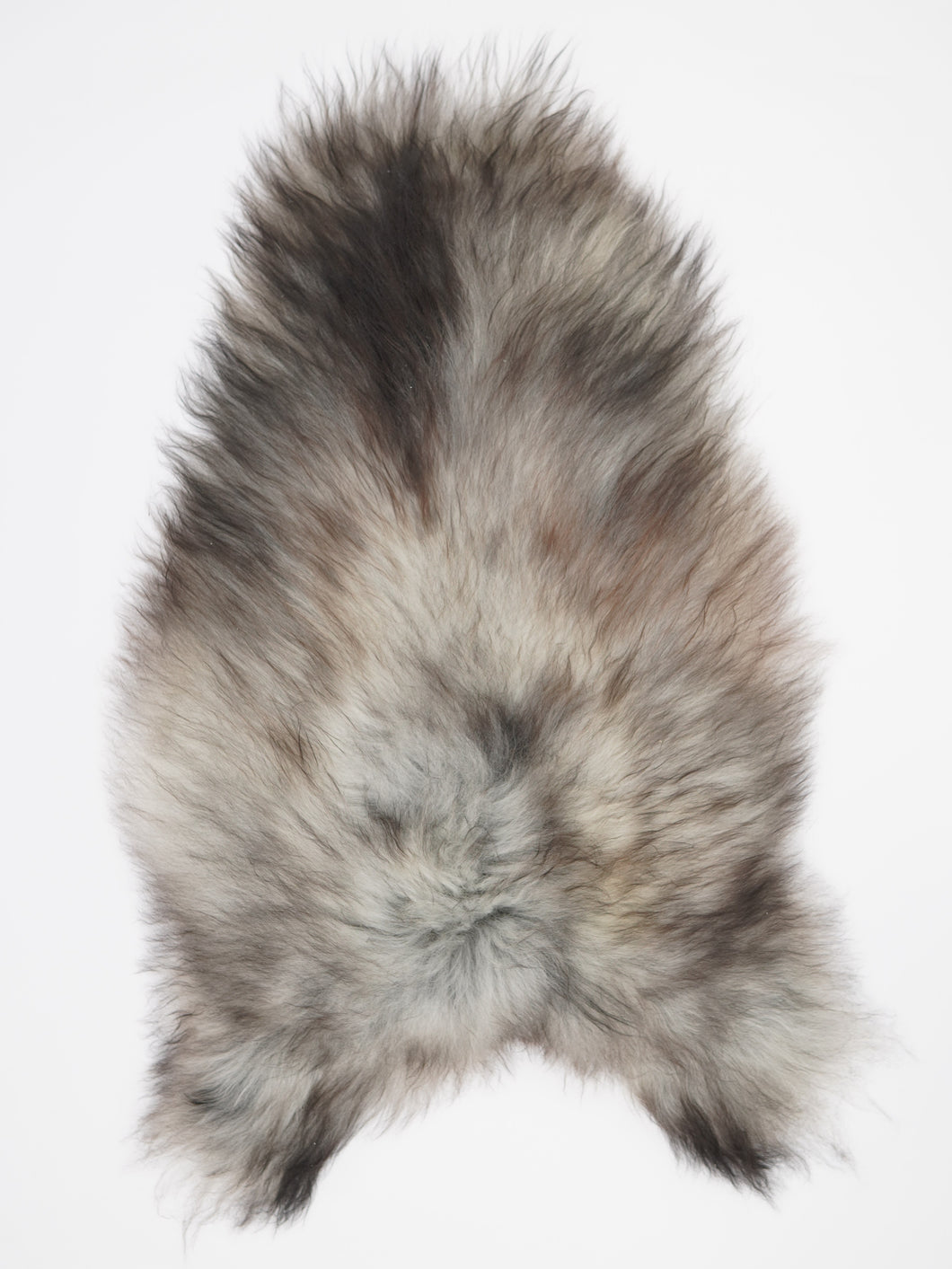 Pilkas islandiškas avikailis XXL