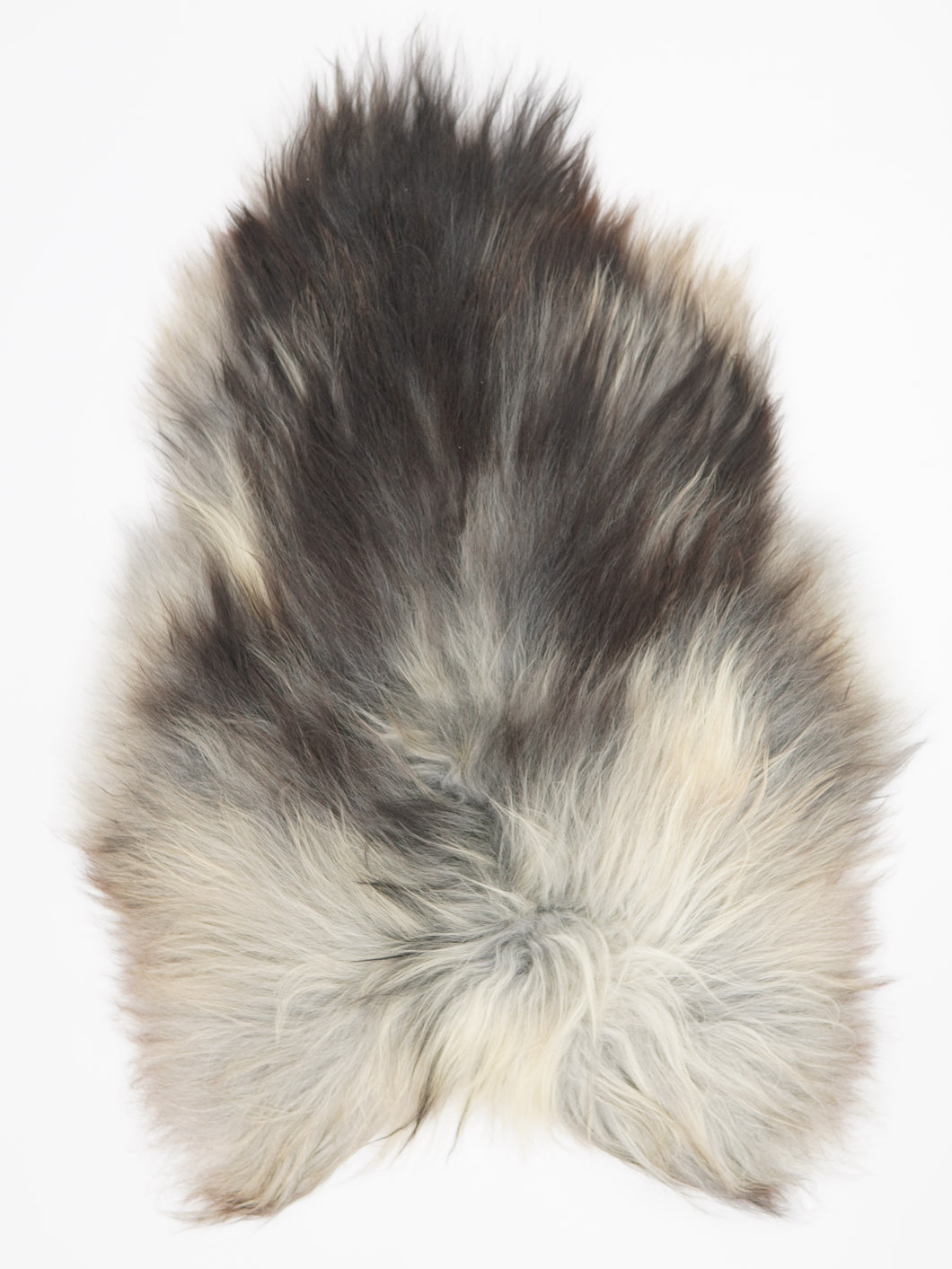 Pilkas islandiškas avikailis L