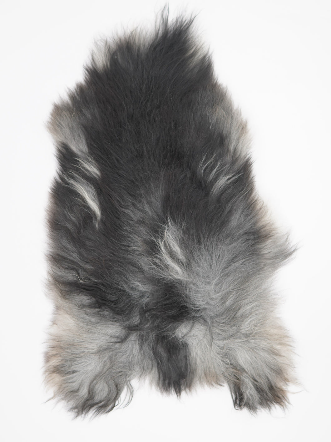 Pilkas islandiškas avikailis XL