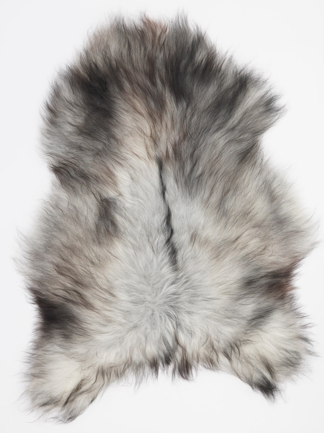 Pilkas islandiškas avikailis L