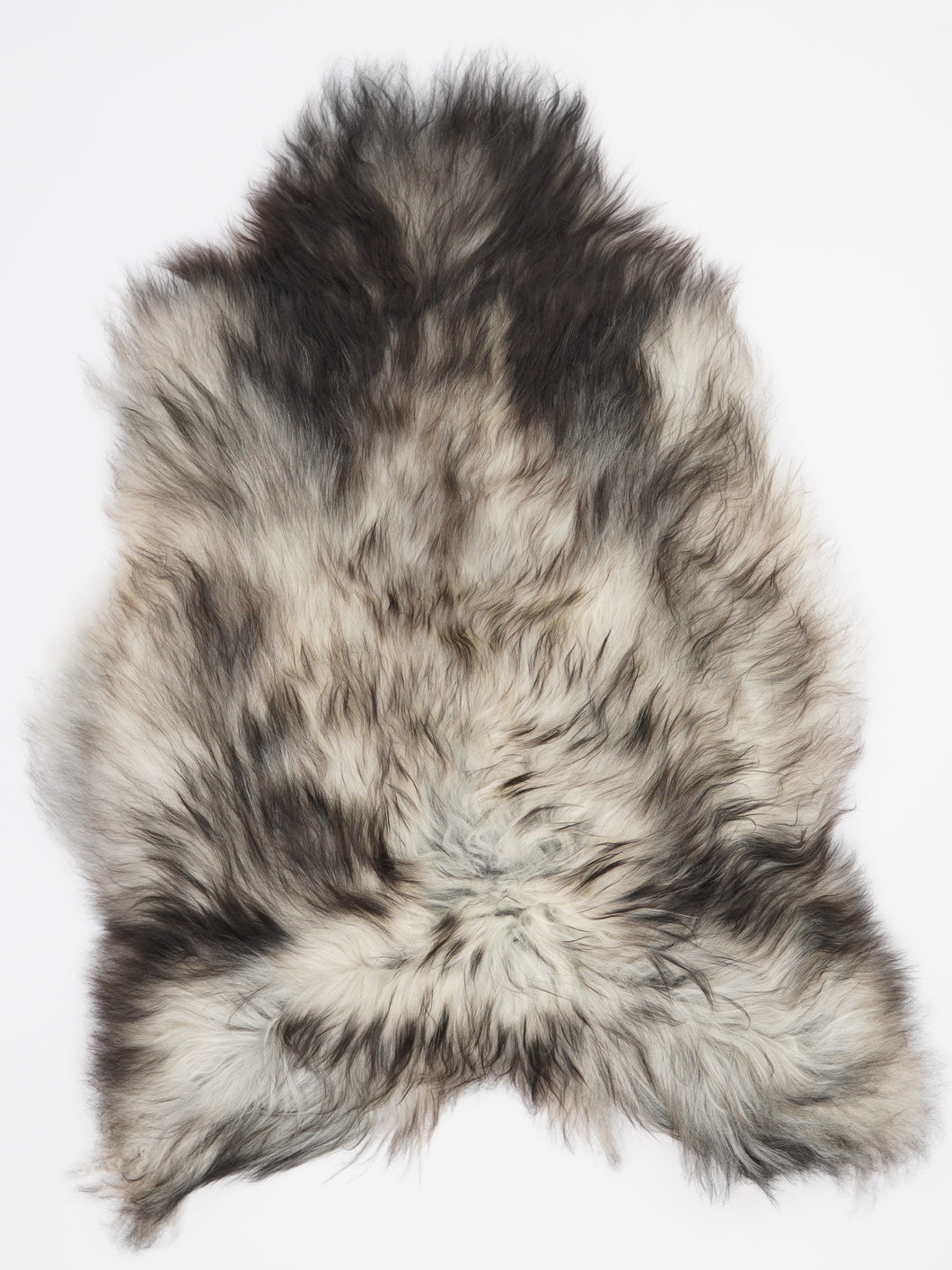 Pilkas islandiškas avikailis XL