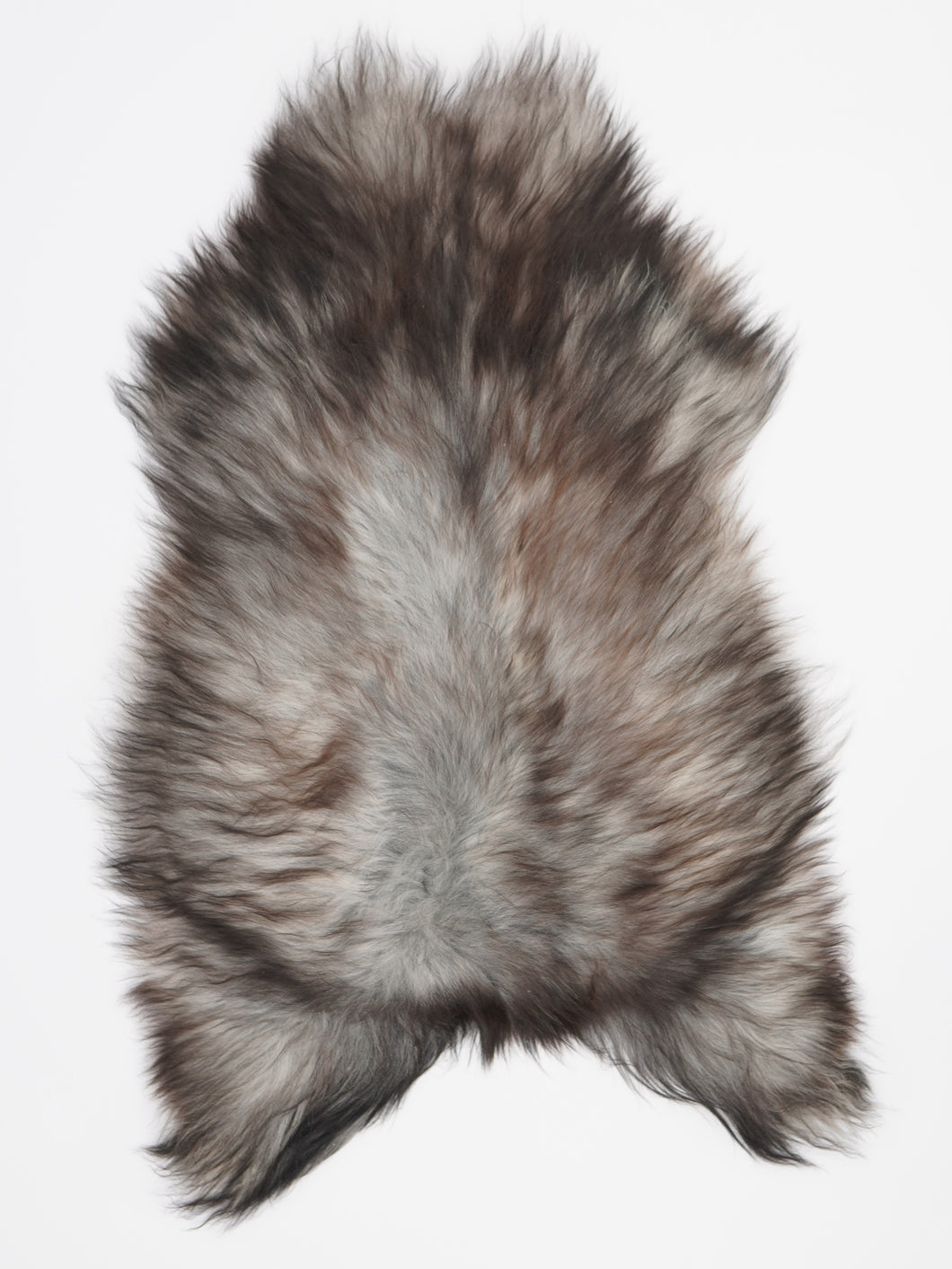 Pilkas islandiškas avikailis L