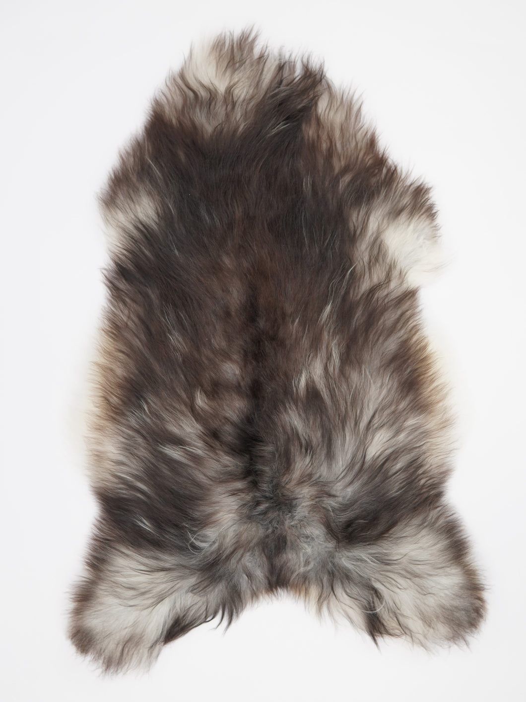 Pilkas islandiškas avikailis XXL