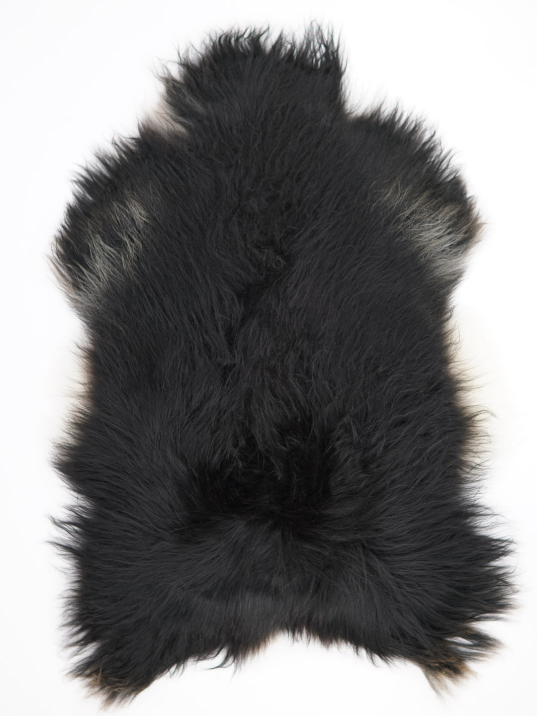Islandiškas avikailis XXL
