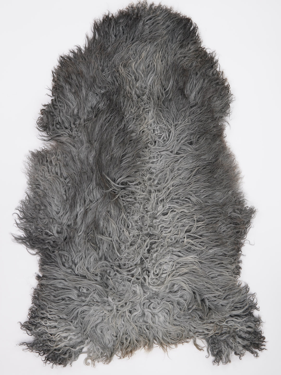 Gotlando avikailis XXXL