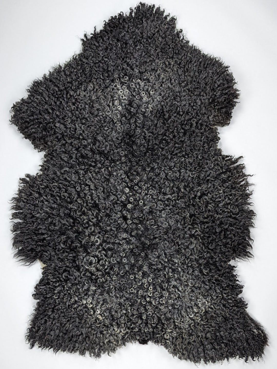 Gotlando avikailis XXL