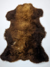 Rudas avikailis "Rusty" M